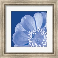 Framed Flower Pop blue I