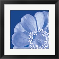 Framed Flower Pop blue I