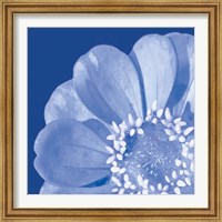 Framed 'Flower Pop blue I' border=