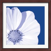 Framed Flower Pop blue III