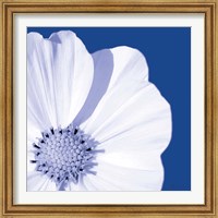 Framed 'Flower Pop blue III' border=