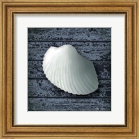 Framed Seashore Shells Navy I