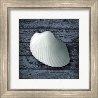 Framed Seashore Shells Navy I