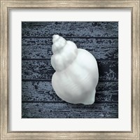 Framed Seashore Shells Navy IV