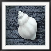 Framed Seashore Shells Navy IV