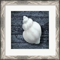 Framed Seashore Shells Navy IV