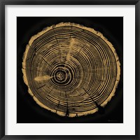 Framed Tree Trunk I