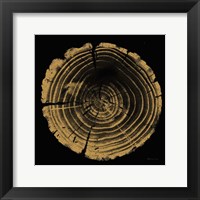 Framed Tree Trunk II