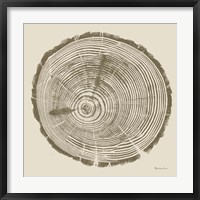 Framed Tree Trunk cream I