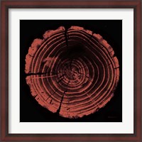 Framed Tree Trunk peach on black