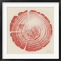 Framed Tree Trunk peach on cream