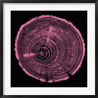 Framed Tree Trunk pink on black