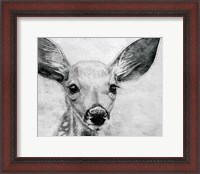 Framed Portrait of a Fawn