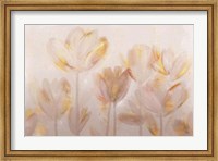 Framed Contemporary Poppies Neutral