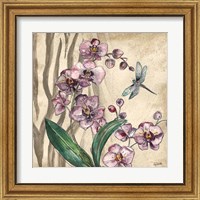Framed 'Boho Orchid & Dragonfly I' border=