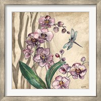 Framed Boho Orchid & Dragonfly I