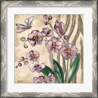 Framed 'Boho Orchid & Dragonfly II' border=