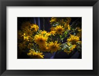 Framed Yellow Flowers
