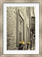 Framed Window Boxes