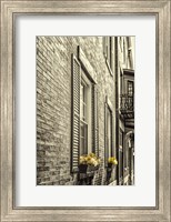 Framed Window Boxes
