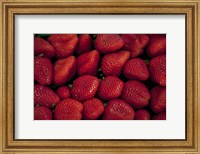 Framed Strawberries