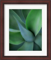 Framed Green Floral