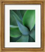 Framed Green Floral