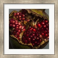 Framed Pomegranate