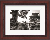 Framed Black & White Fanal