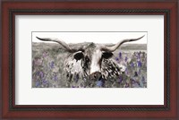 Framed Longhorn in Flower Field