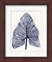 Framed Indigo Leaf
