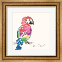 Framed Preston the Parrot