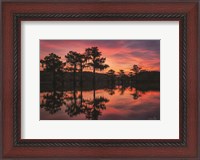 Framed Swamp on Fire