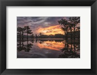 Framed Sunrise in the Swamps