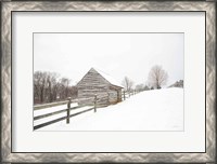 Framed Fenced In