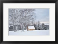 Framed Barn with a View