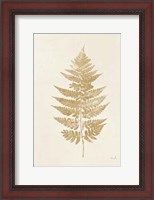 Framed Fern Print I Gold No Shiplap