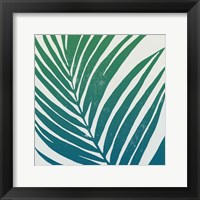 Framed Tropical Treasures III Blue Green