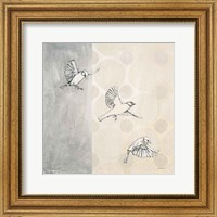 Framed Sparrows Alighting
