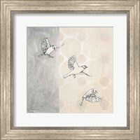Framed Sparrows Alighting