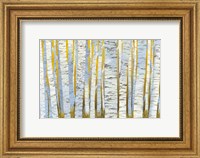 Framed Aspen Grove