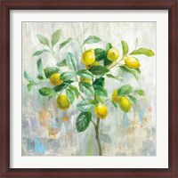 Framed Lemon Branch