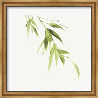 Framed Bamboo VI Green