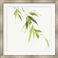 Framed Bamboo VI Green