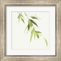 Framed Bamboo VI Green