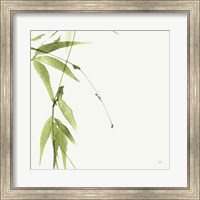 Framed Bamboo V Green