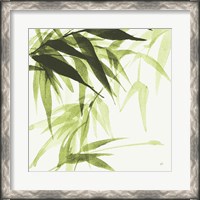 Framed Bamboo IV Green