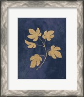 Framed Botanical Study III Gold Navy