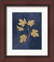 Framed Botanical Study III Gold Navy