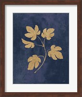 Framed Botanical Study III Gold Navy